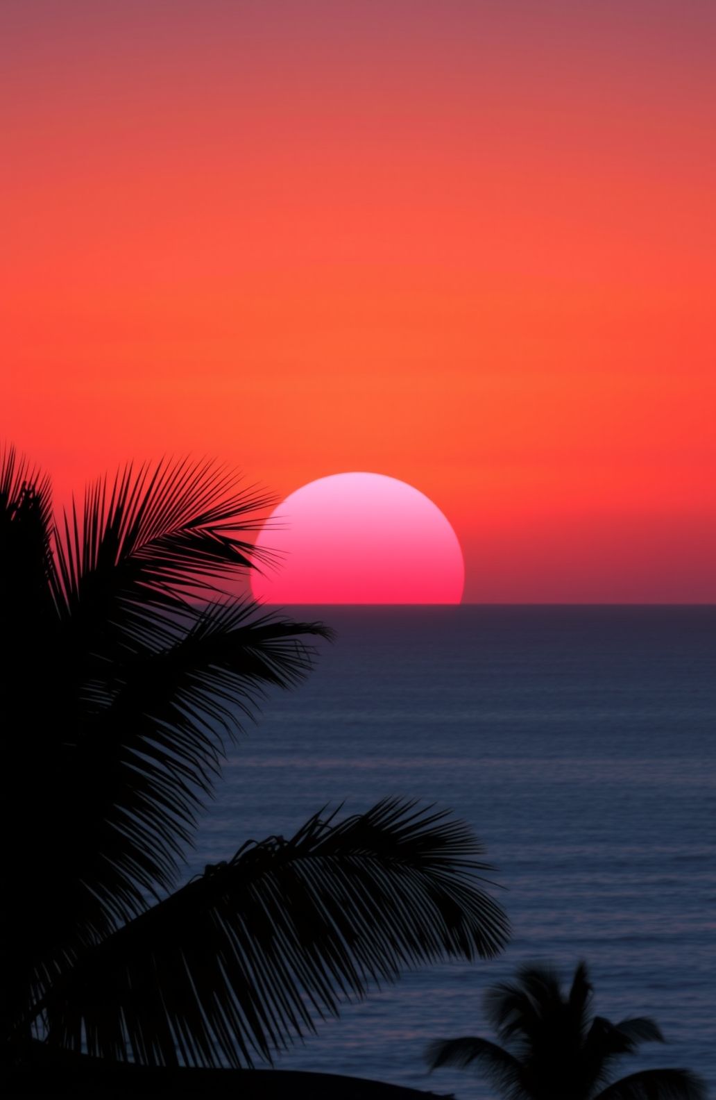 Surya Wallpaper