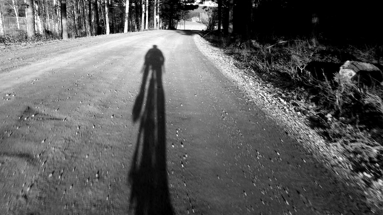 Days Of Summer Black And White Rapha