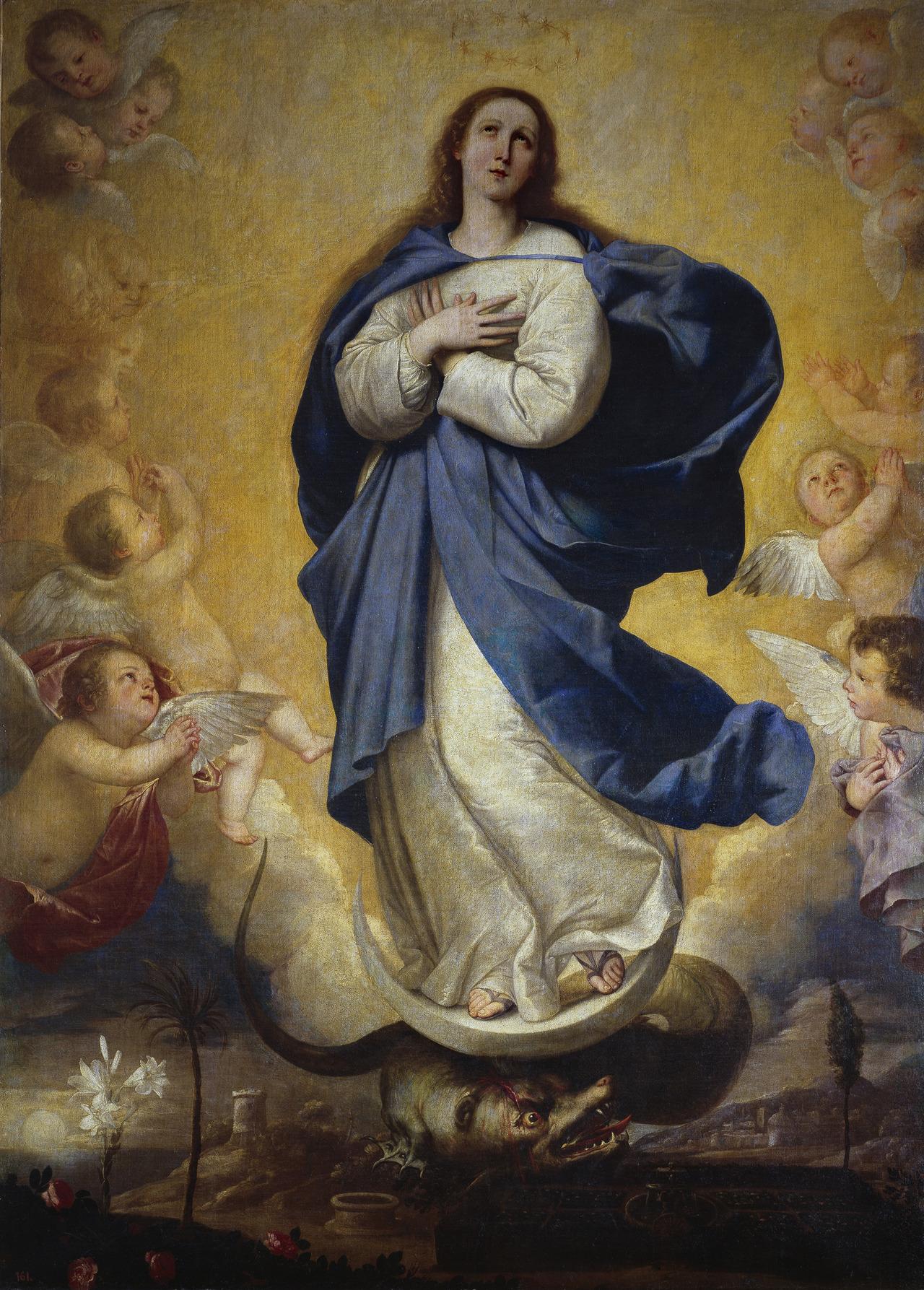 Feast Of The Immaculate Conception Wallpaper HD