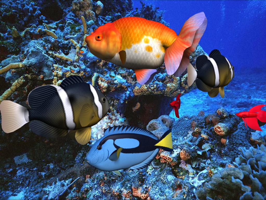 User reviews of free 3D Aqua Screensaver 286