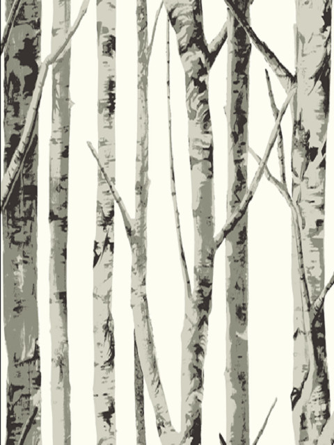 White Contemporary Birch Tree Wallpaper   Modern   Wallpaper   houston 480x640