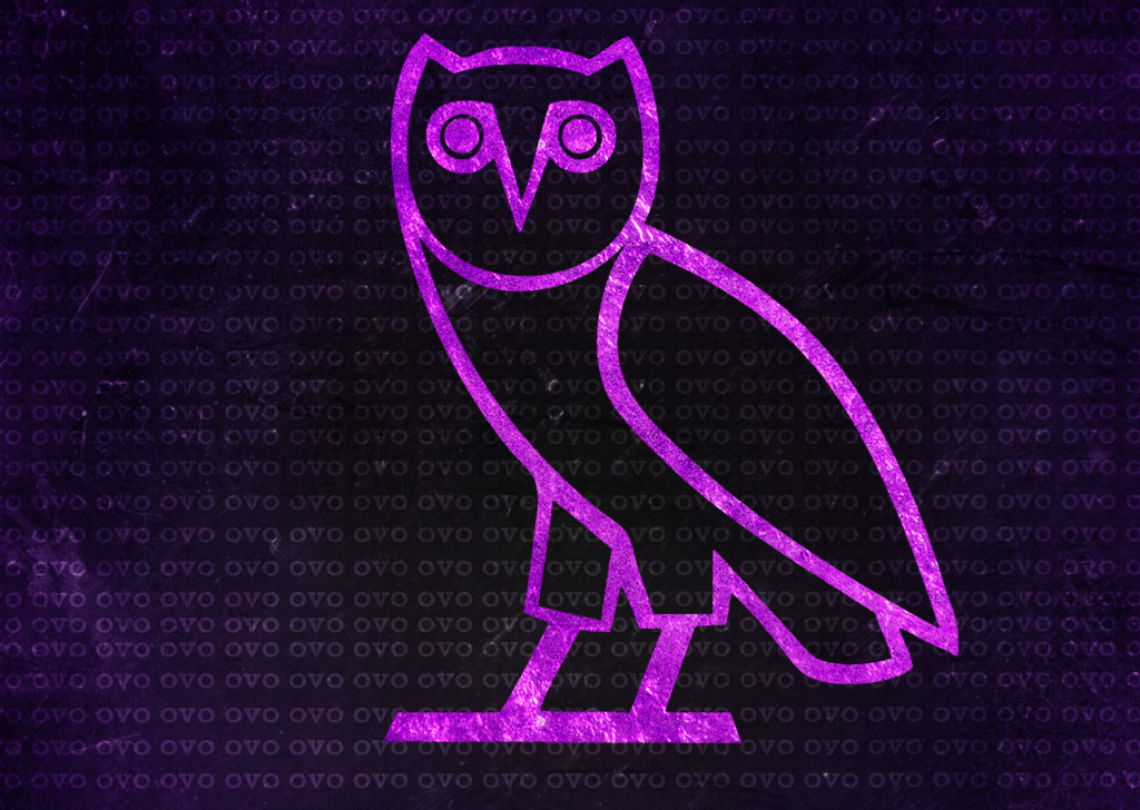 Drake Owl Wall
