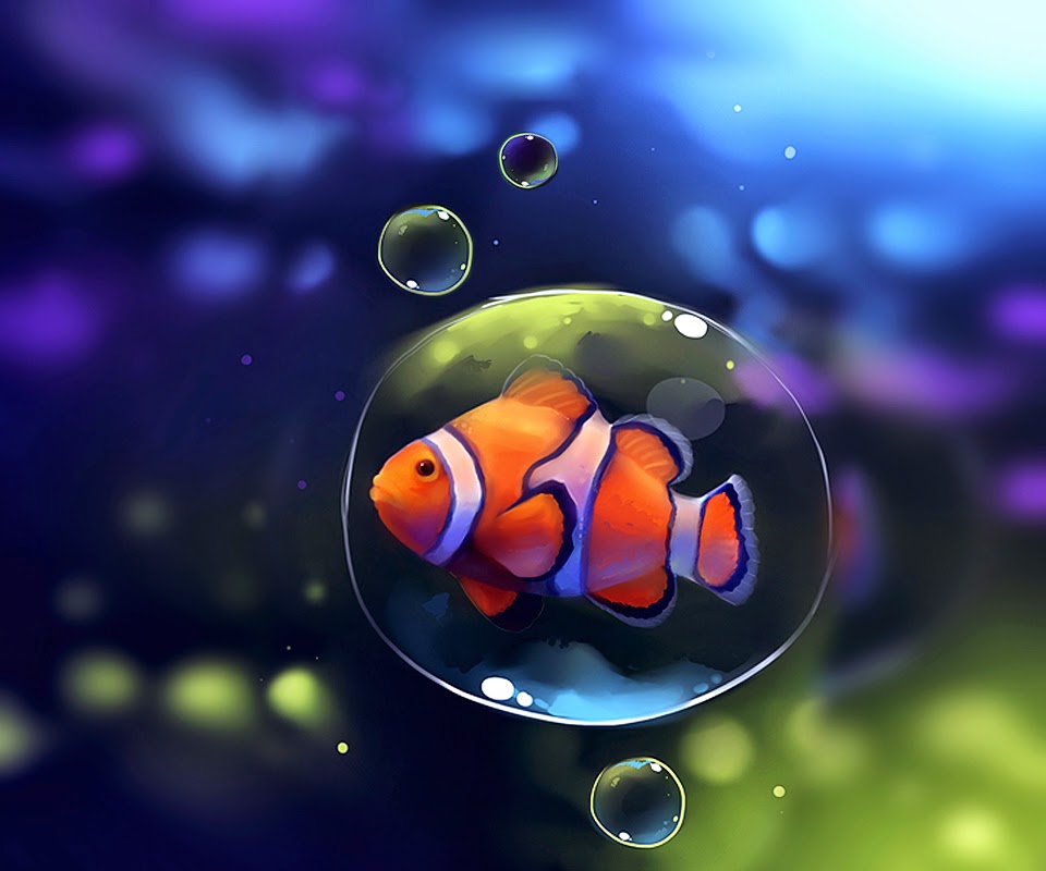 Clown fish 1080P 2K 4K 5K HD wallpapers free download  Wallpaper Flare