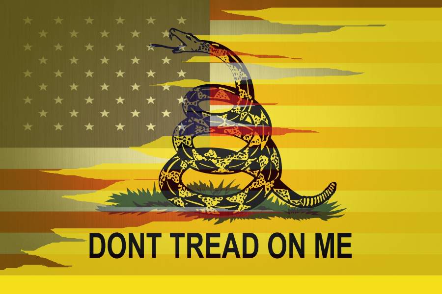 Flag And Fly Instead The Gadsden Once Glorious American