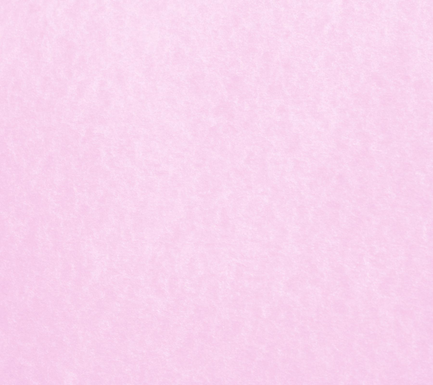 light pink background 14 Cool Pictures prounncom