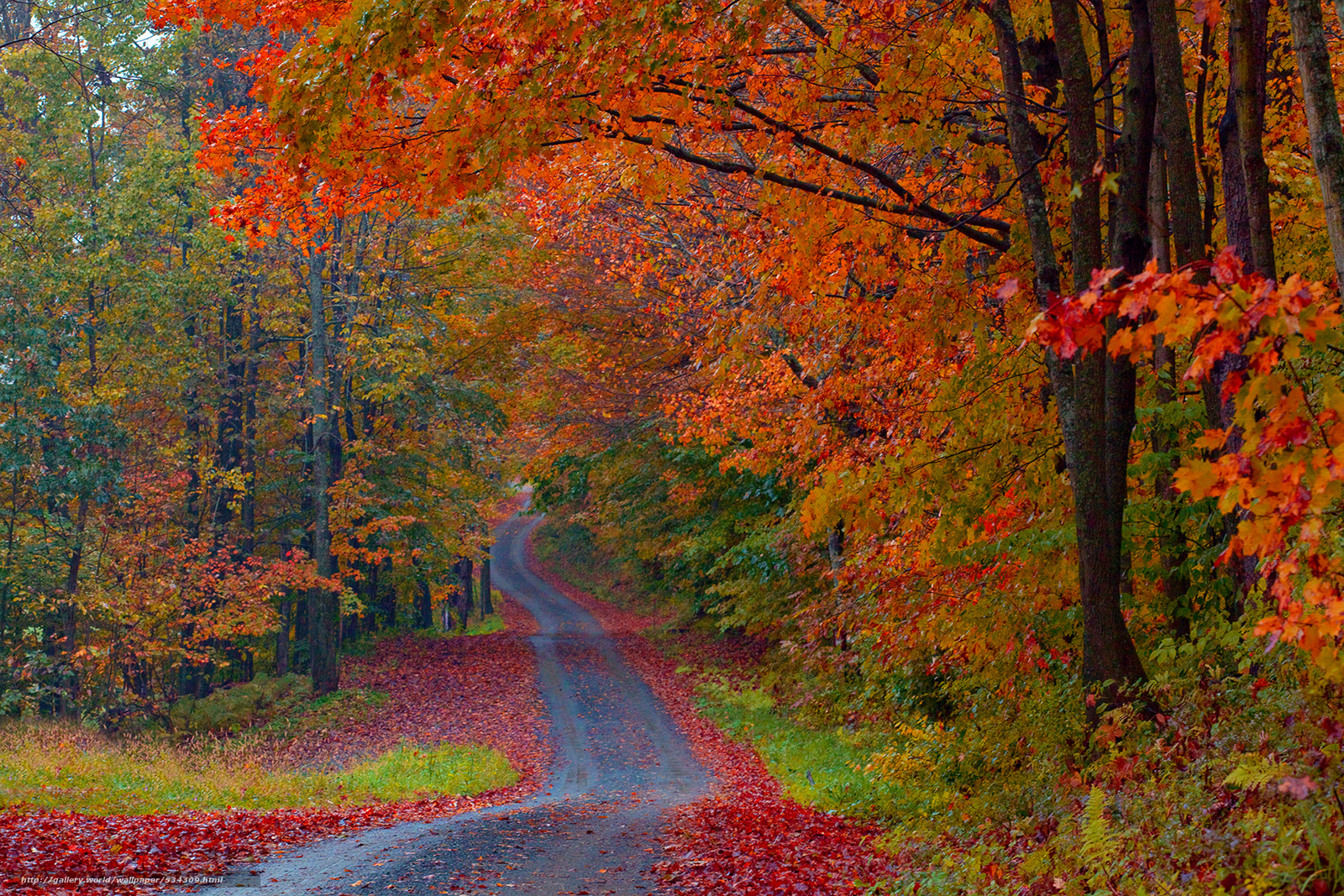 Wallpaper Roads Of Fire Vermont Usa Desktop