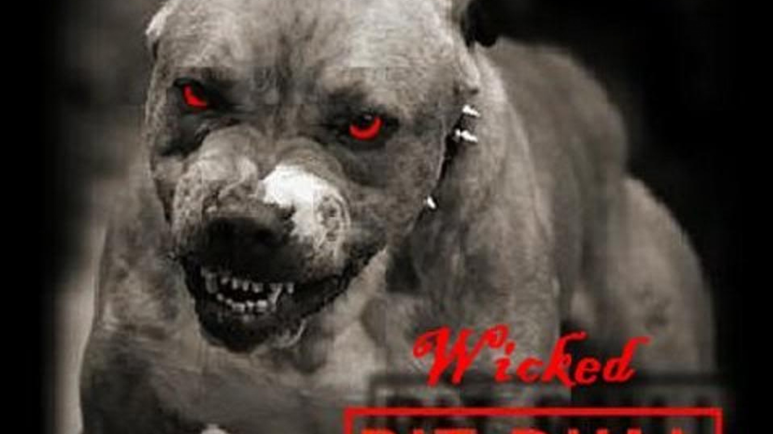 Scary Dog Wallpapers  Top Free Scary Dog Backgrounds  WallpaperAccess