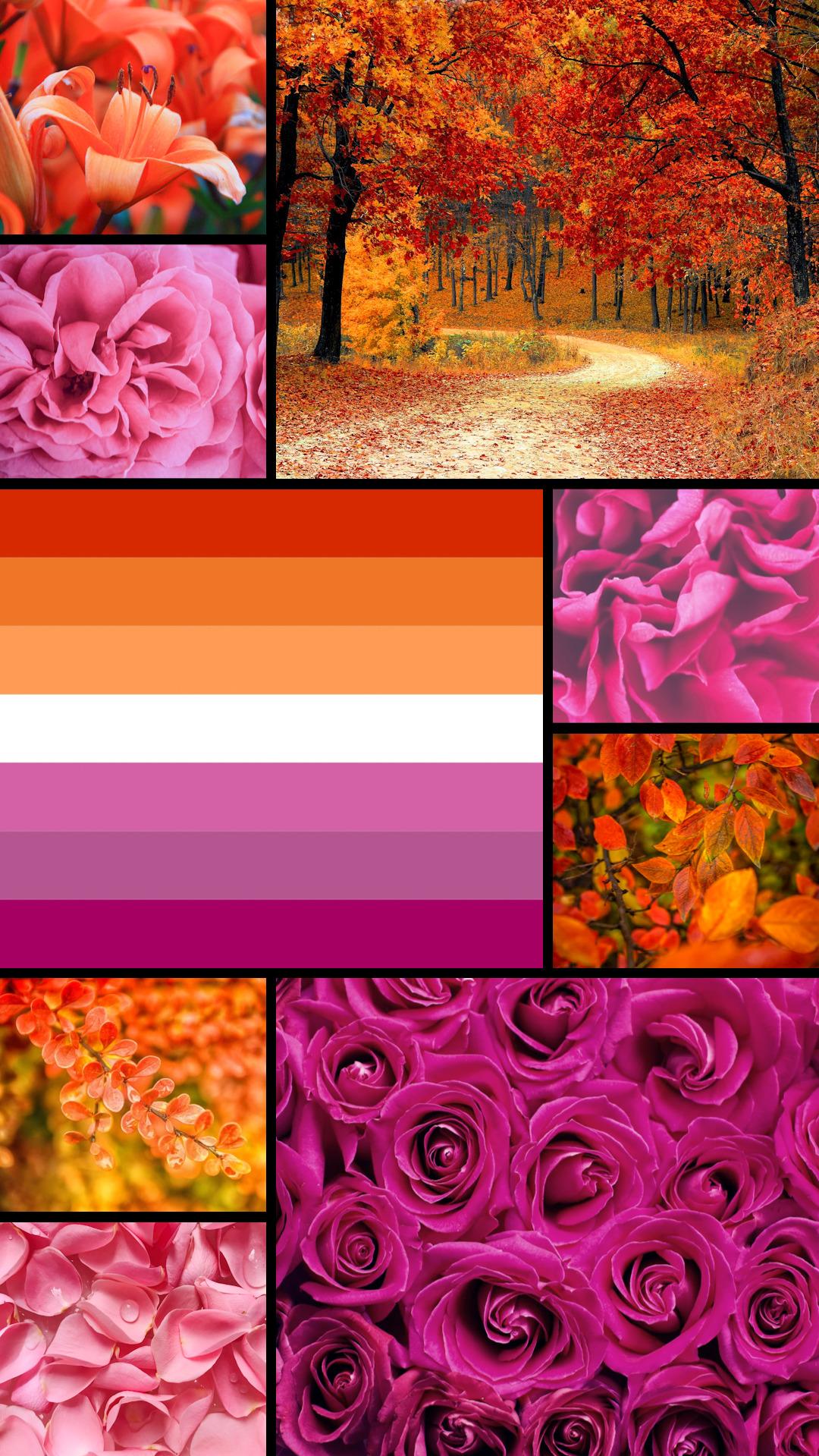 the gay agenda lgbt collage wallpapers