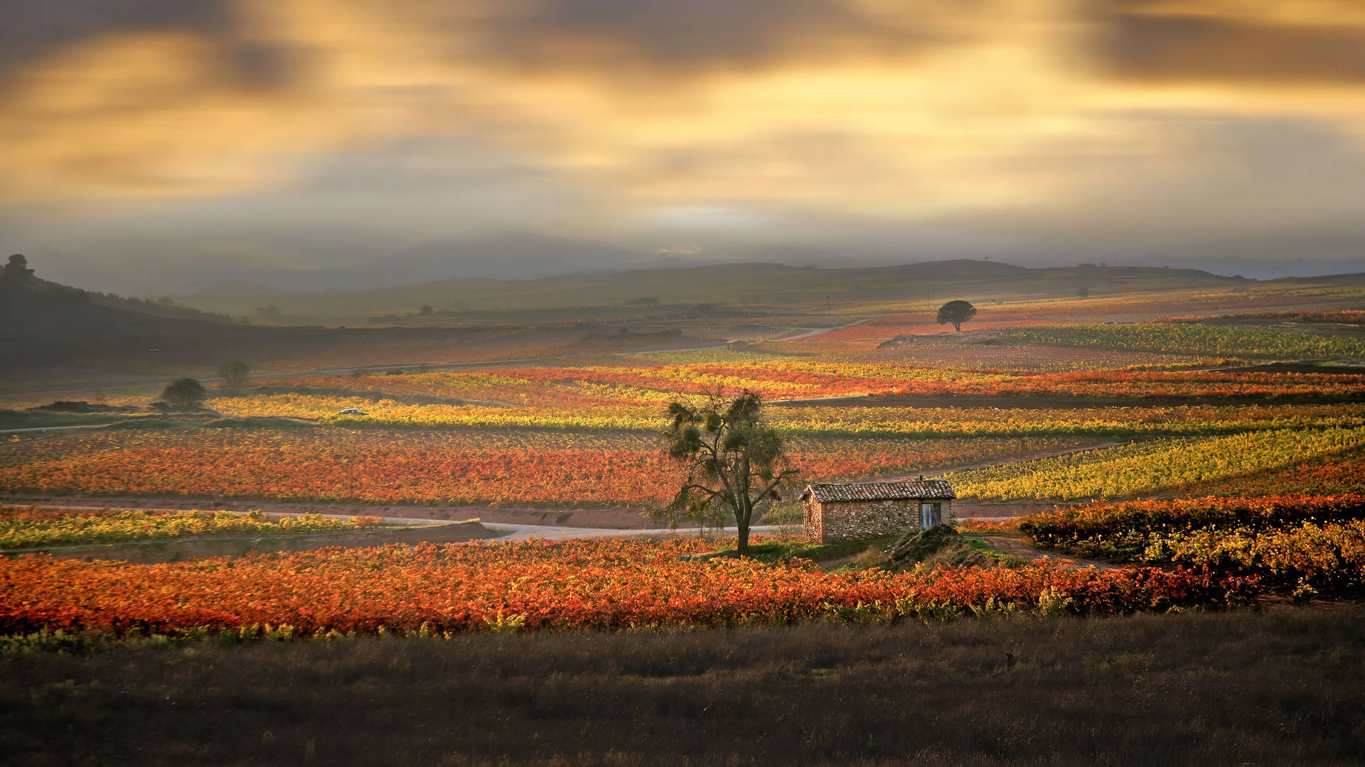 Farm Desktop Wallpaper