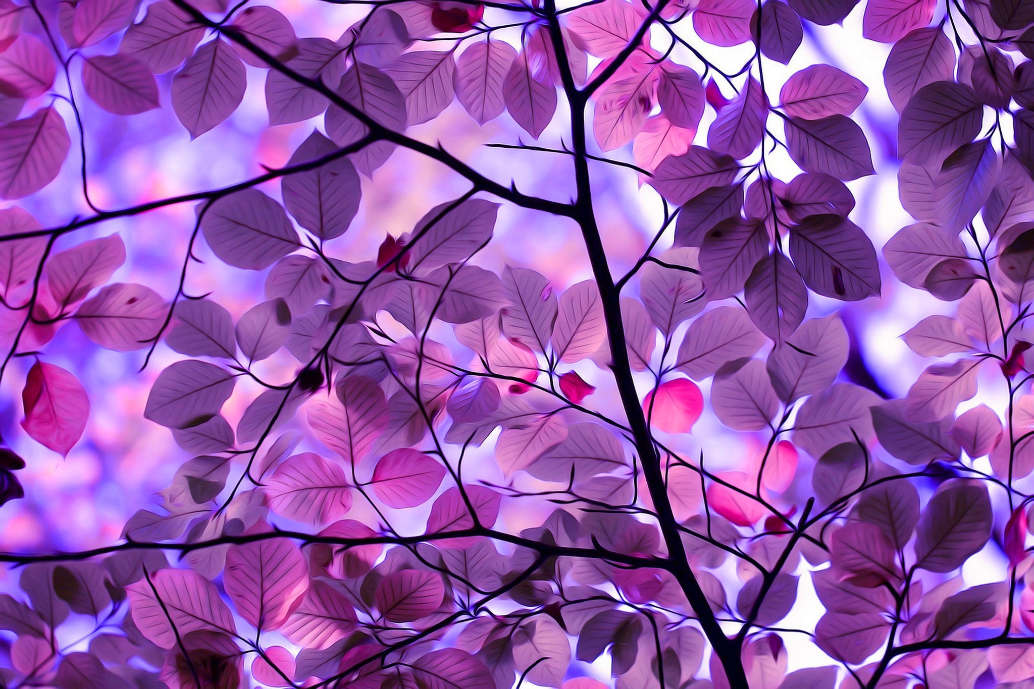 Fantasy Field With Purple Tree Puter Wallpaper