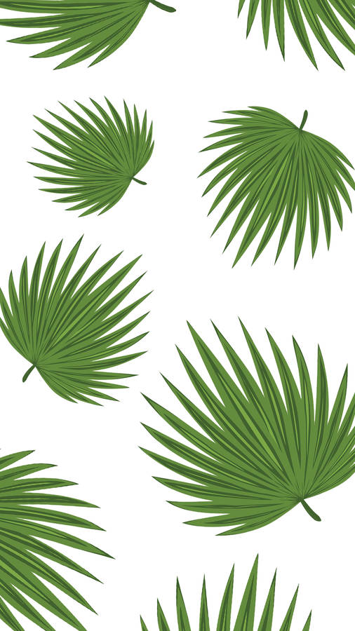 Minimalist Plant Wallpaper S