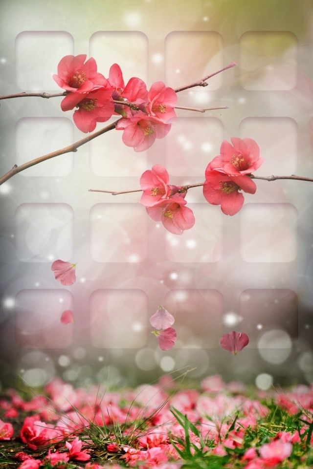 iPhone Wallpaper For May April Showers Bring Flowers