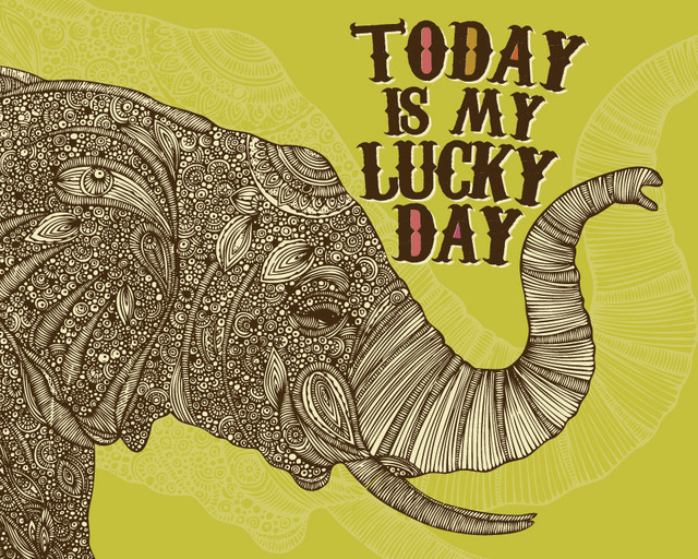 Lucky Day Elephant Wall Mural Contemporary Wallpaper By Murals