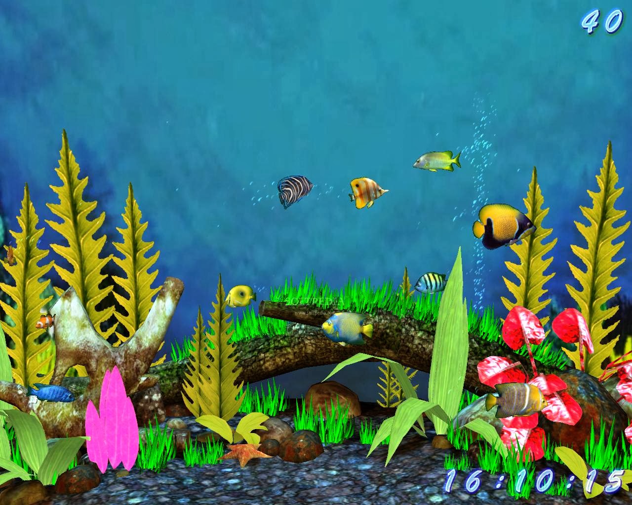 Aquarium Free Desktop Wallpapers Download   blogtes