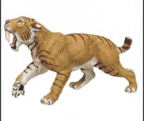 How Big Was The Saber Toothed Tiger