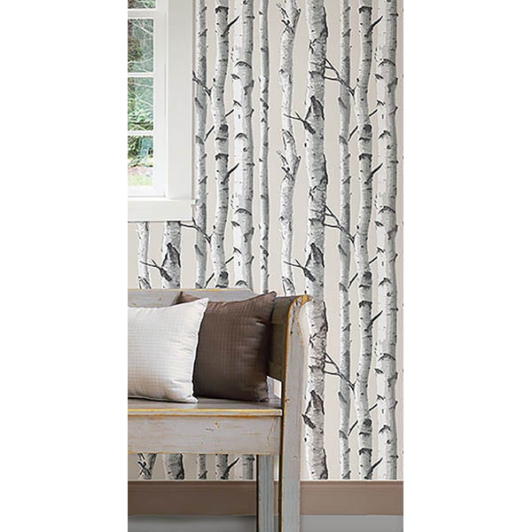 Birch Tree Peel And Stick Wallpaper   By NuWallpaper 600x600