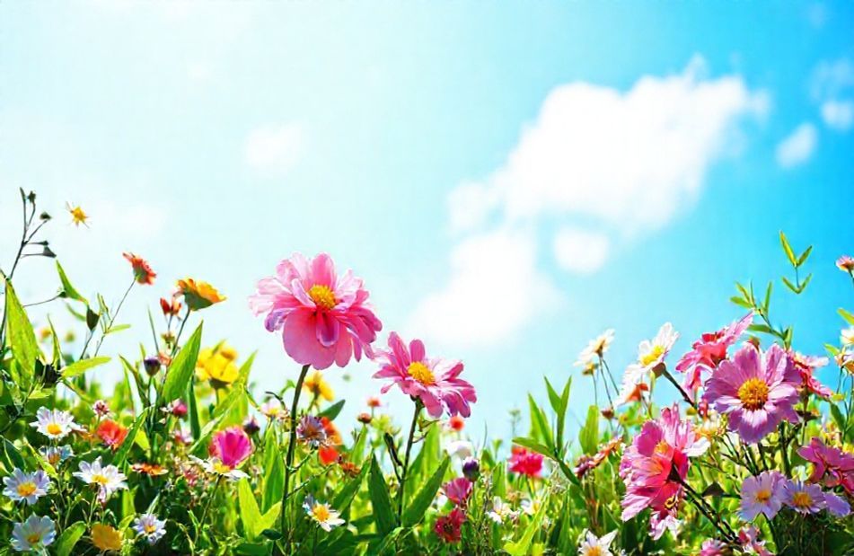 Spring Wallpaper For iPad