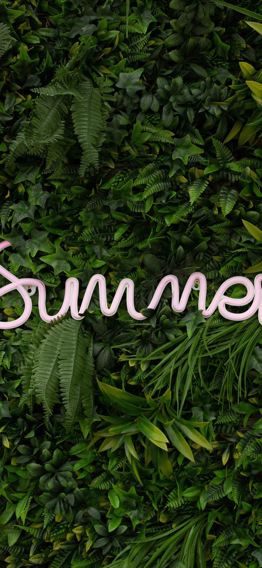 Summer iPhone Wallpaper