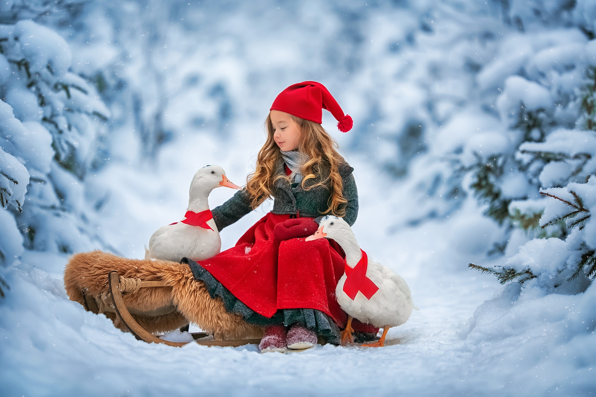 Snow Redhead Hat Winter Goose Photography Child HD Wallpaper
