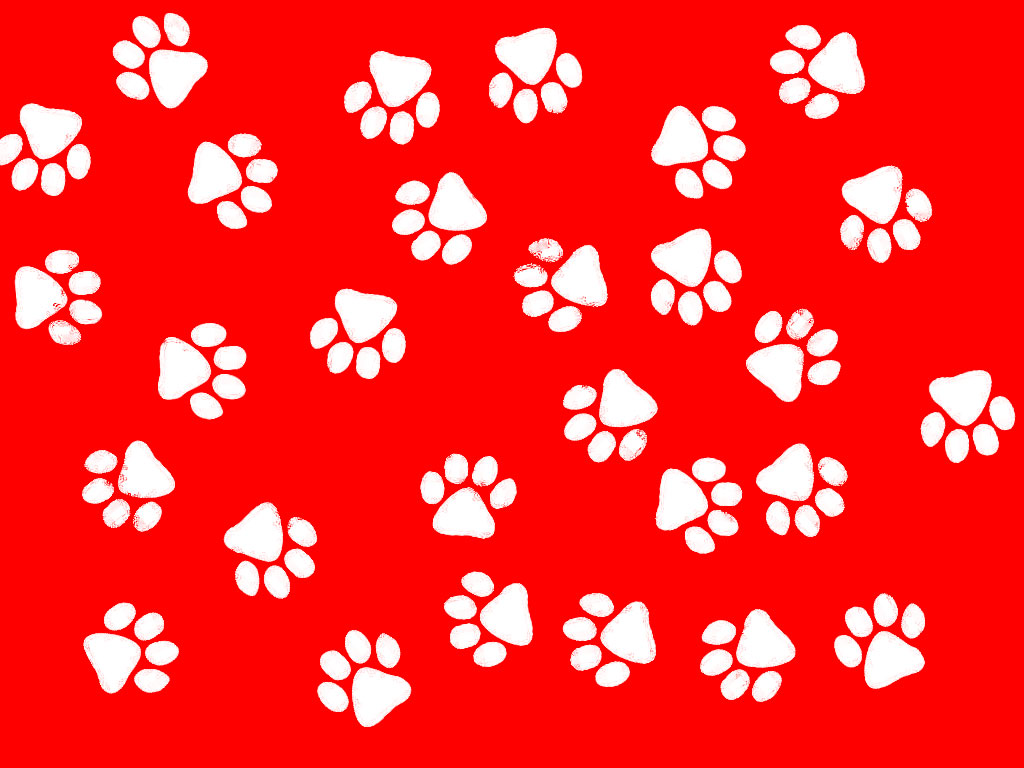 Cat Paw Print Wallpaper Galleries Related