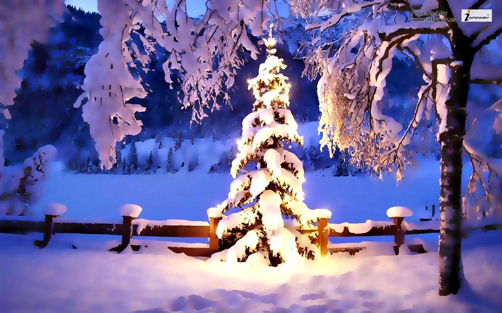 Beautiful Snow Scene Wallpaper Winter Pictures S
