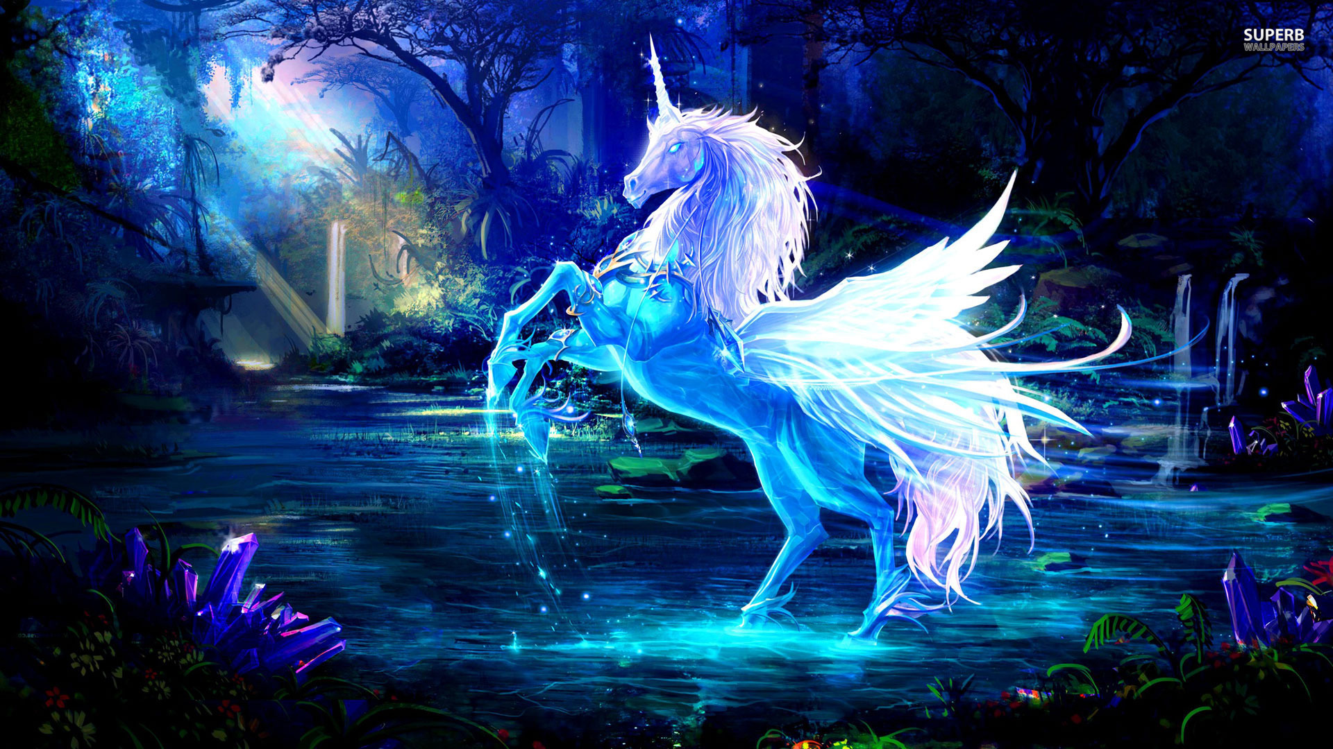 Real Unicorn Wallpaper Images amp Pictures   Becuo 1920x1080