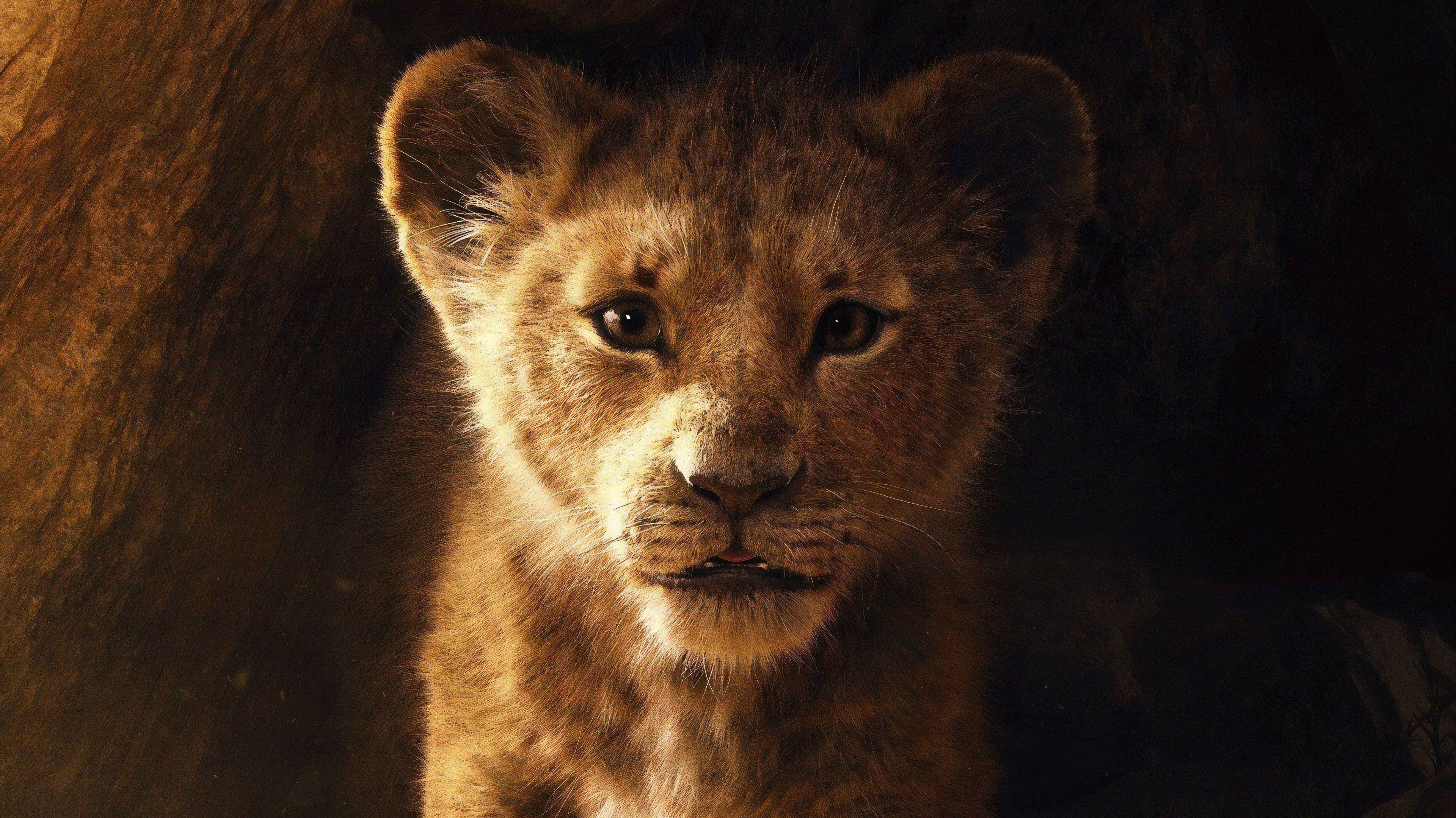 The Lion King 5k Wallpaper HD
