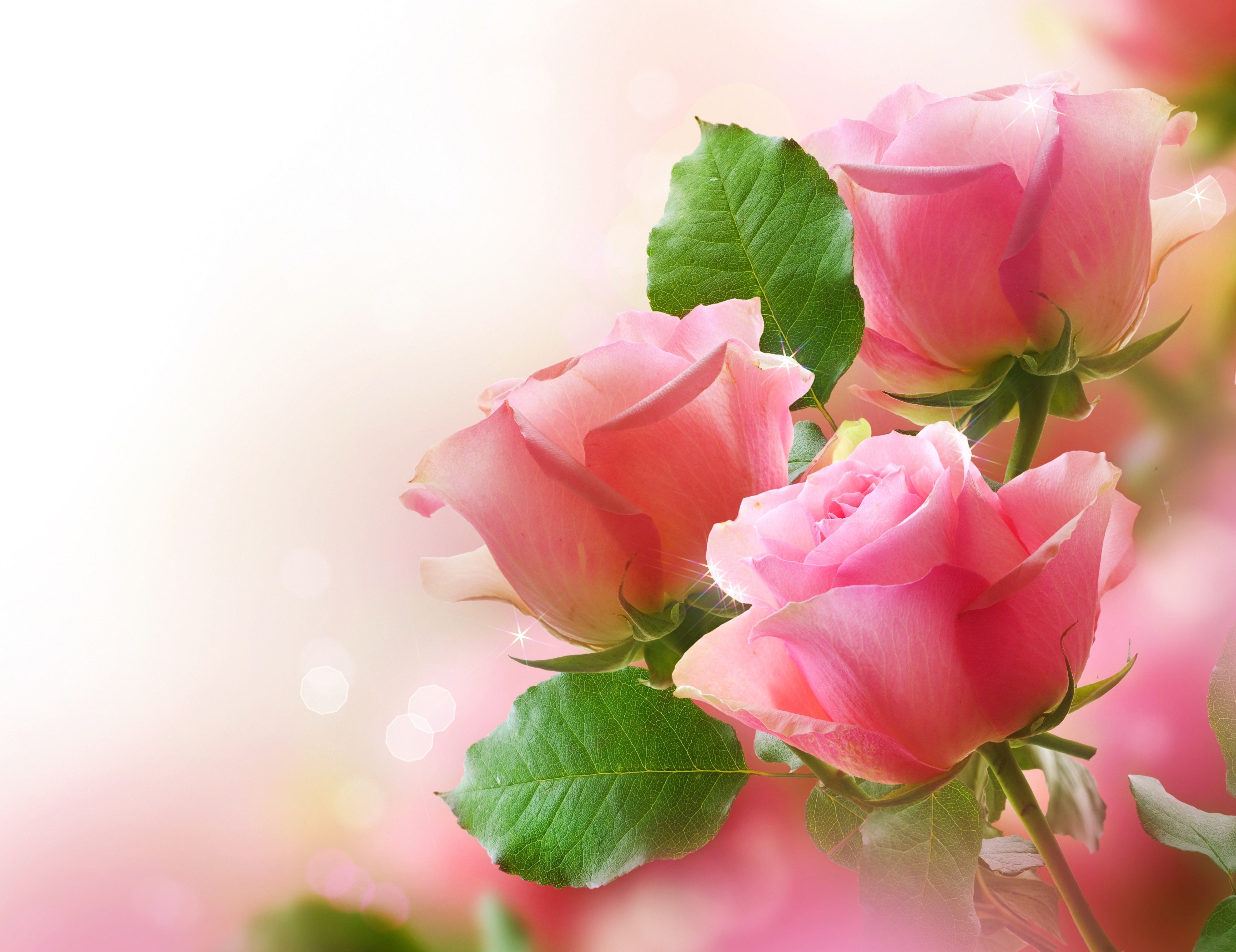 Pink Rose Bouquet Wallpaper And Image