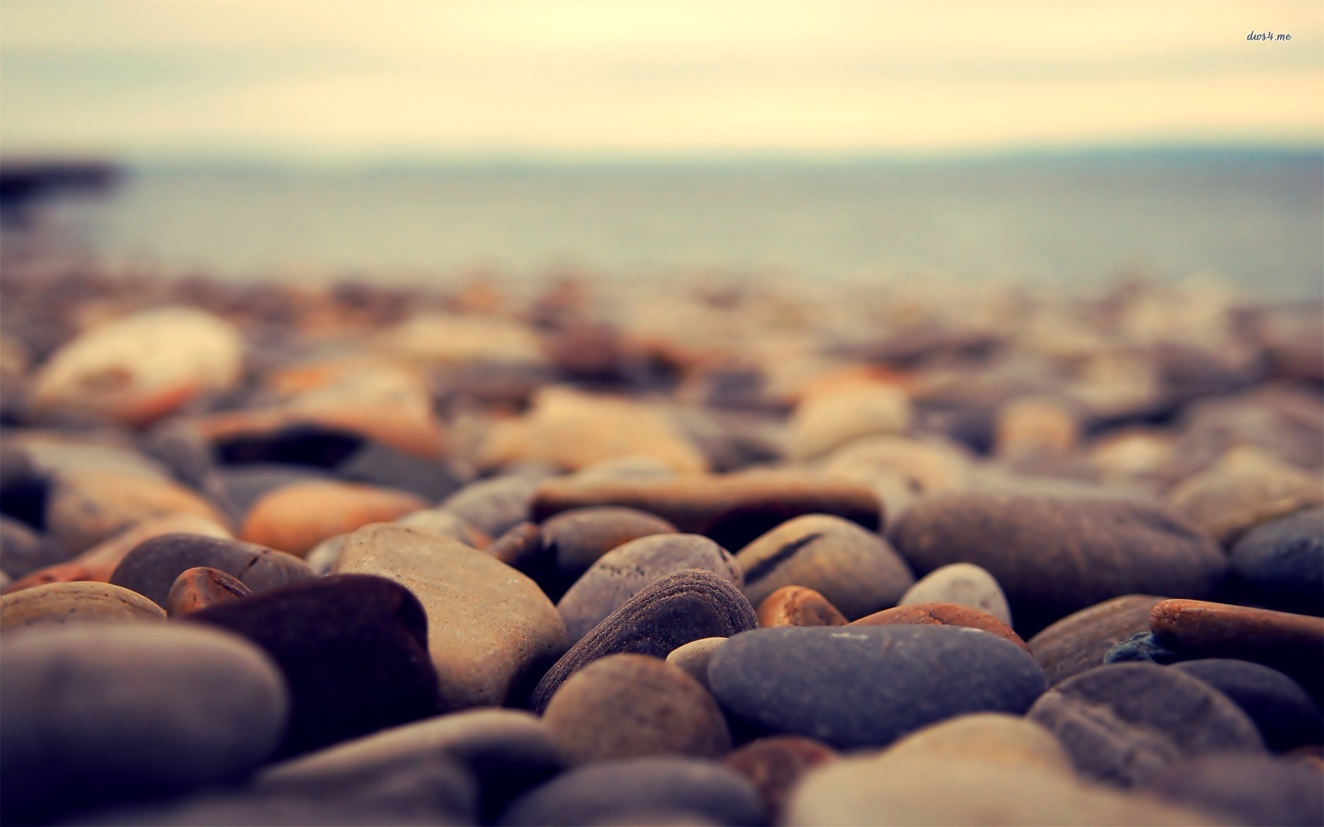 Pebbles On The Beach Wallpaper Photography