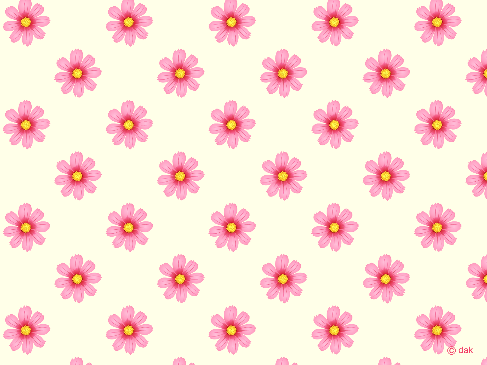 Cosmos Flower Wallpaper Desktop Background