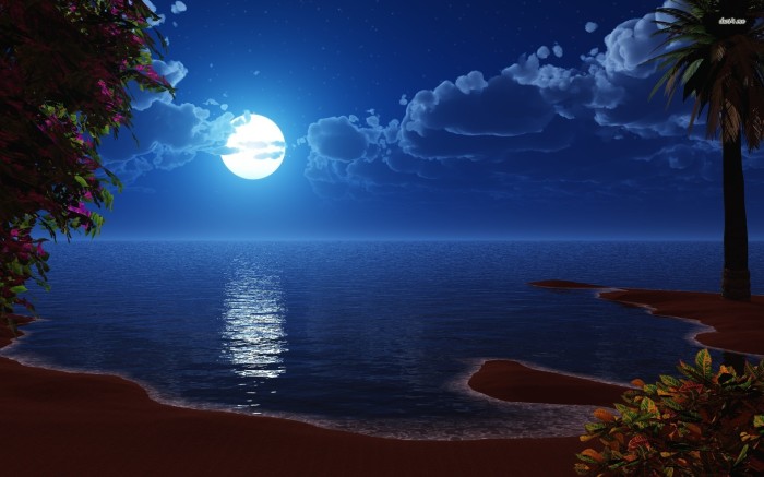 Full Moon At The Beach Sand Sky Palm