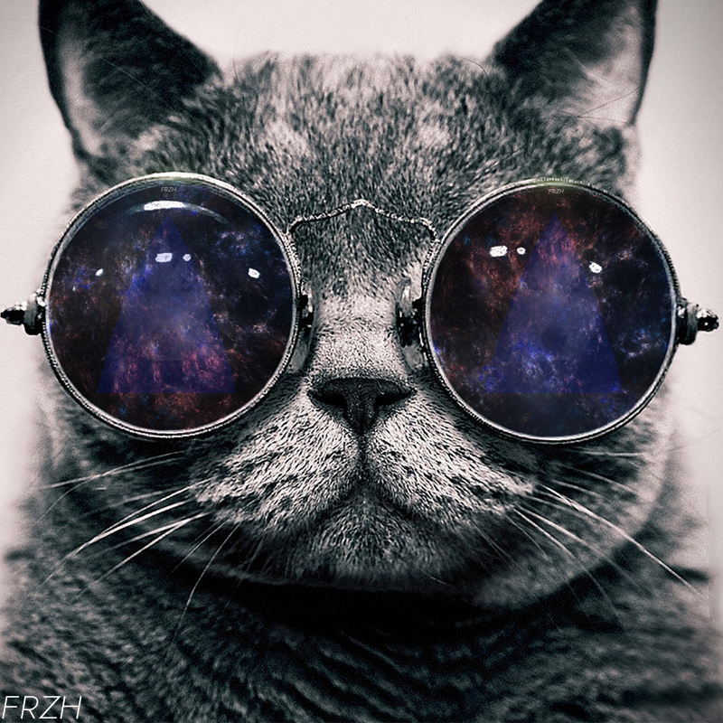 Cats In Space Wallpaper Image Pictures Becuo