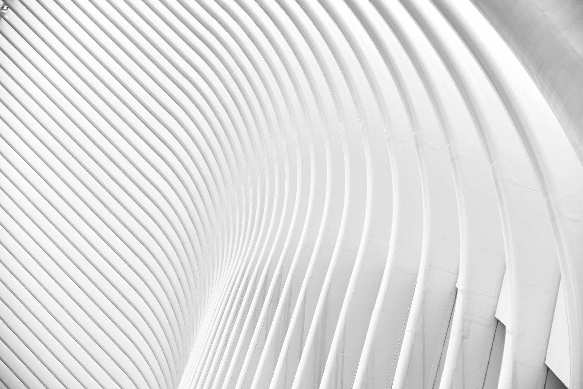 Pure White Wallpaper