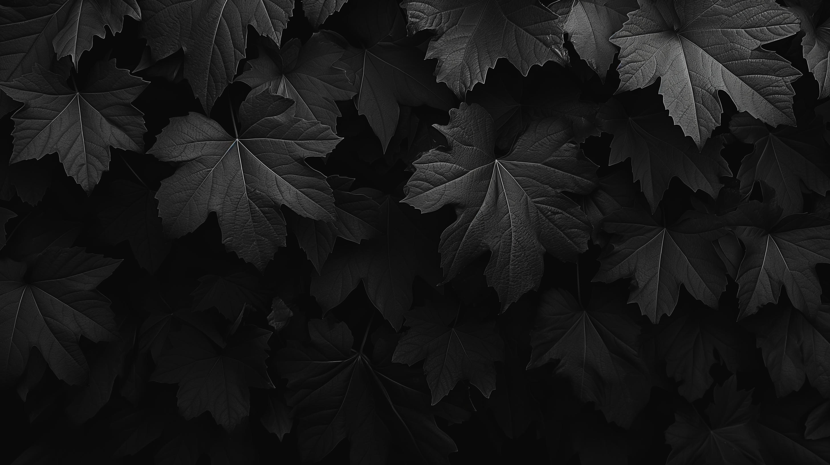 Dark Aesthetic Leaves HD Wallpaper By Robokoboto