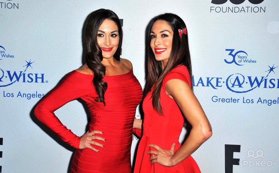 Bella Twins For