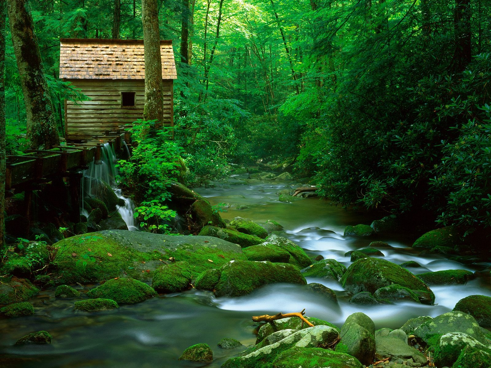 Forest Watermill Wallpaper Rivers Nature
