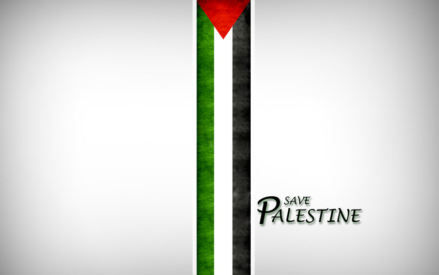 Save Palestine By Mirul