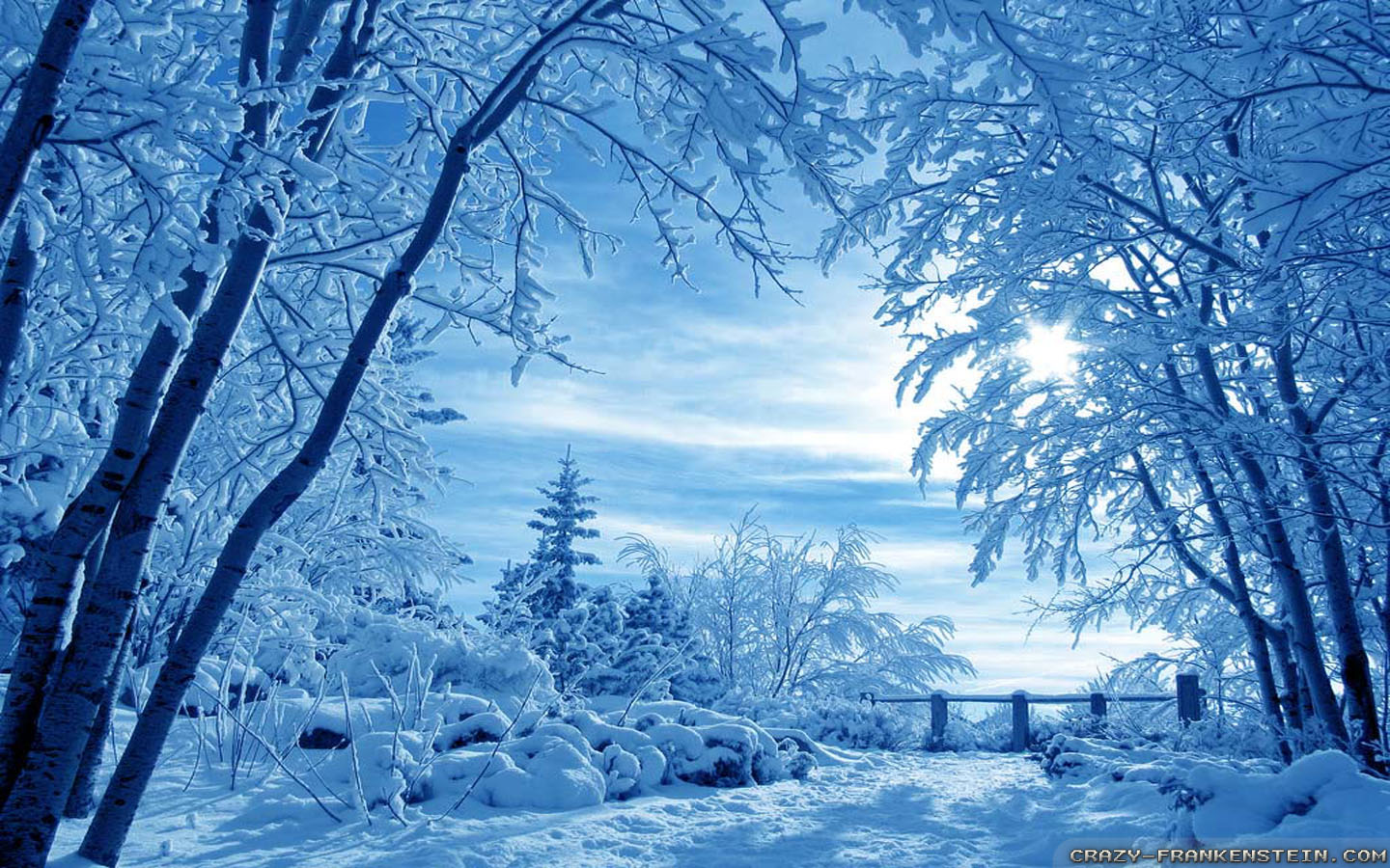 Winter Screen Background