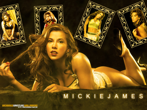 Wwe Divas Image Mickie James HD Wallpaper And Background Photos