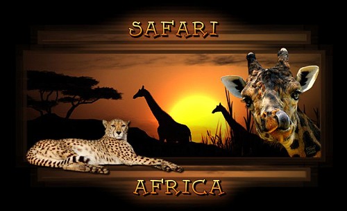 Photo Safari Africa Wallpaper African Album Cherylee21 Fotki