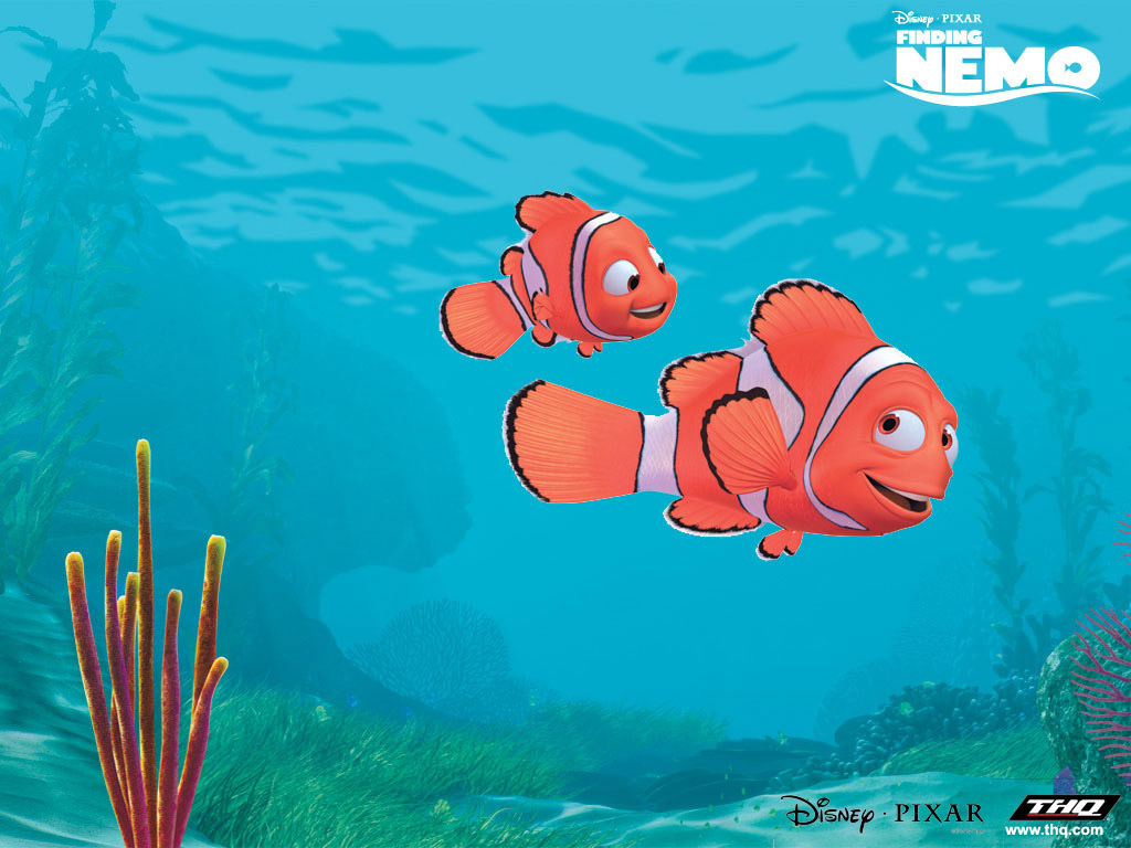 Nemo The Fish Wallpaper And Image Pictures Photos