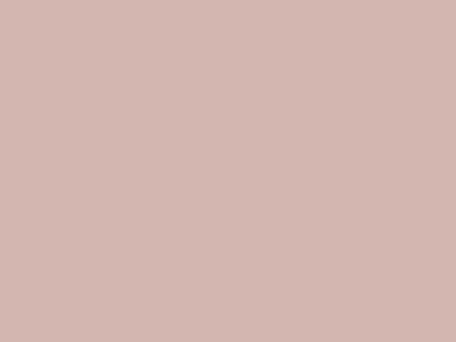 Neutral Colors Background Wallpaper