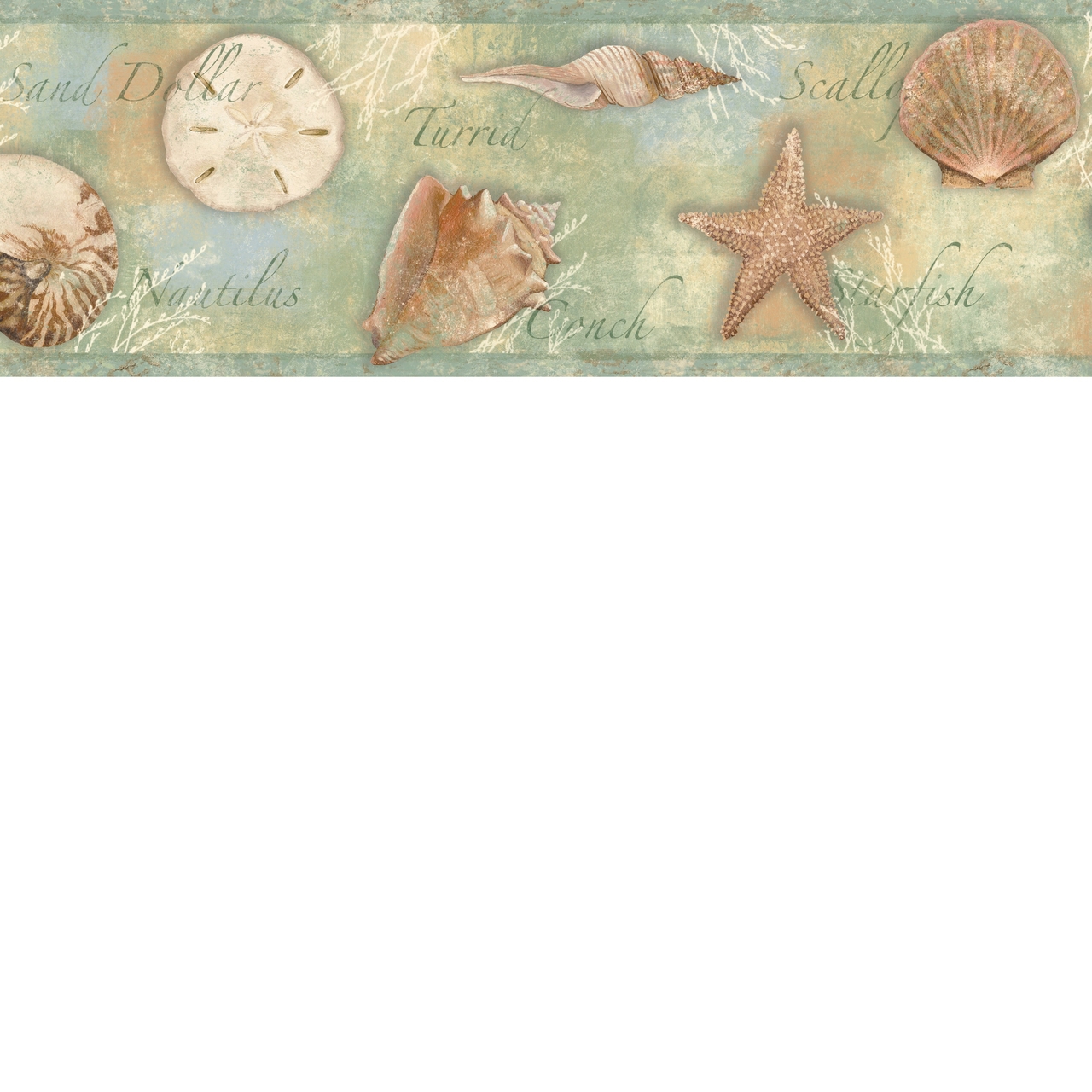 Borders By Chesapeake Seashells Wallpaper Border Bbc46052b