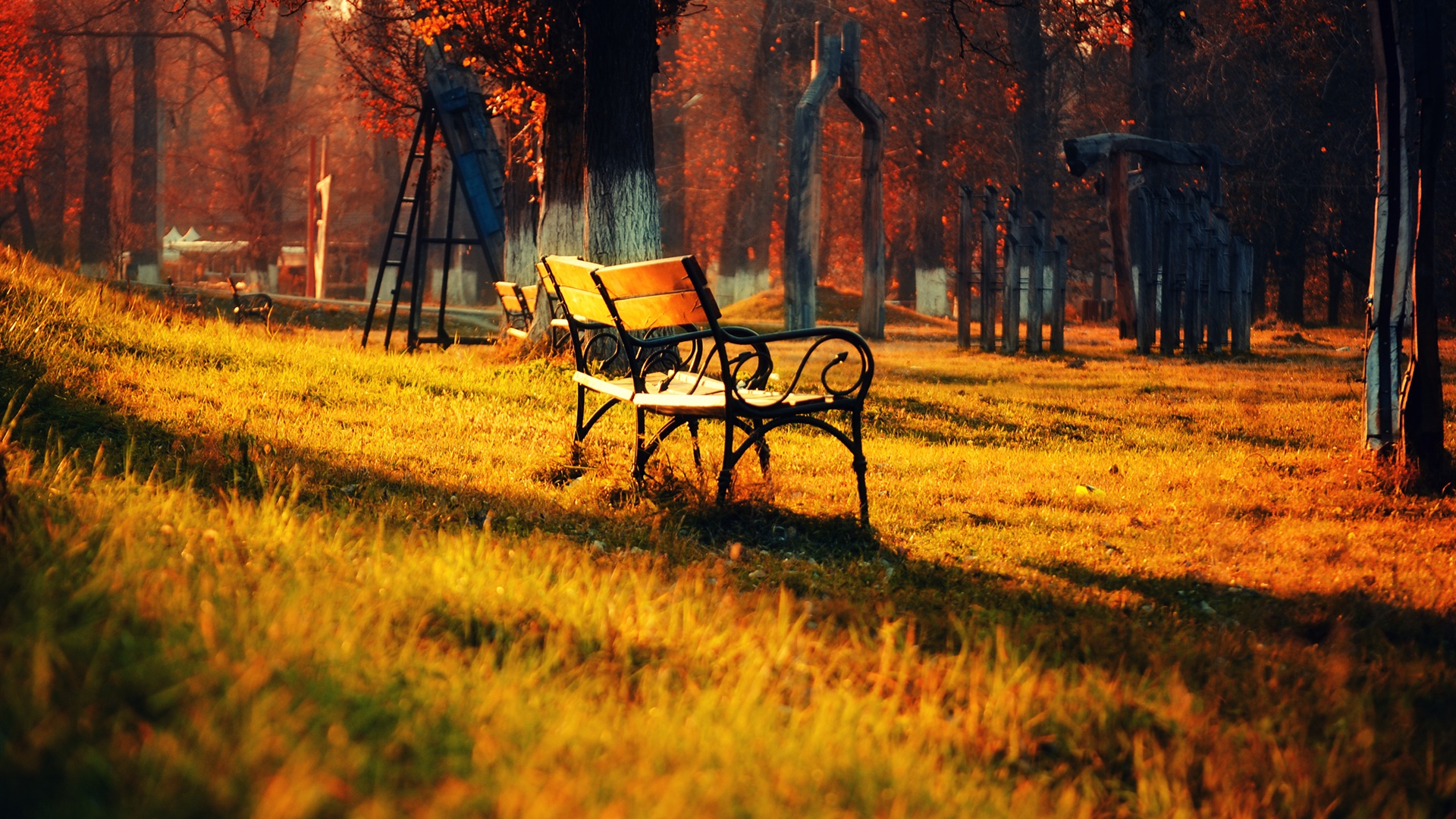 Goldener Herbst Park Natur Landschaft Rasen Bank So HD Hintergrundbilder Bild Wallpaper