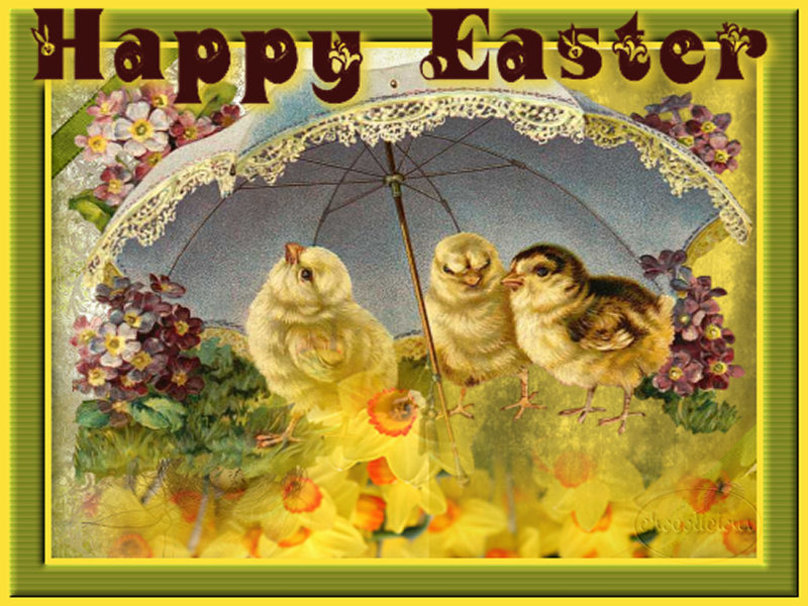 Easter Chicks Wallpaper