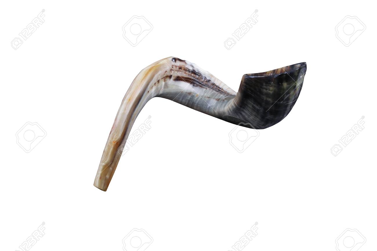 Free download Jewish Small Horn Shofar Isolated On White Background ...