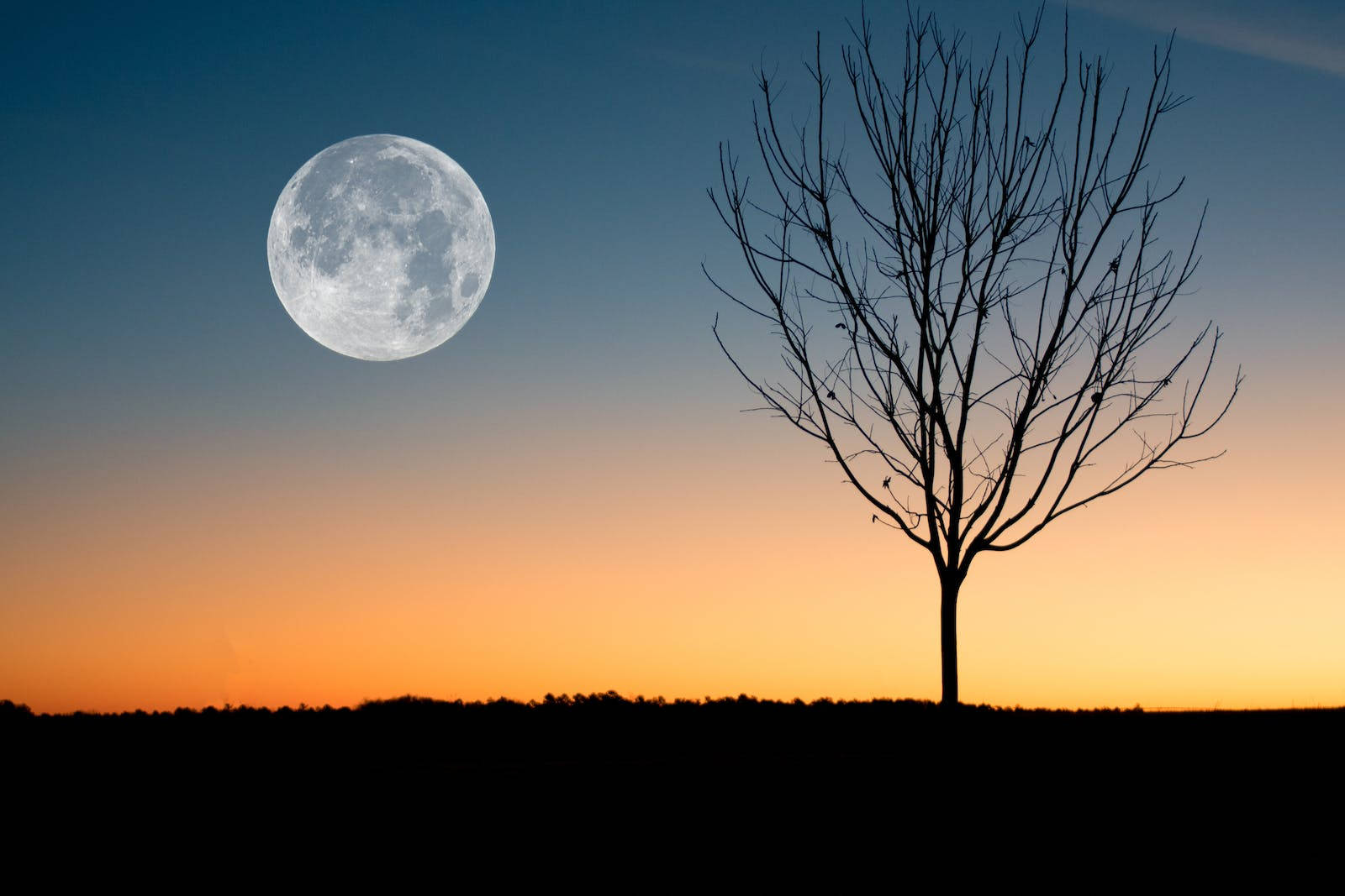 Full Screen HD Wallpaper