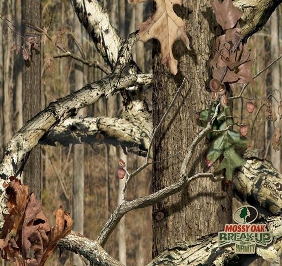Related Pictures Mossy Oak Wall Paper Border Inc HD Wallpaper