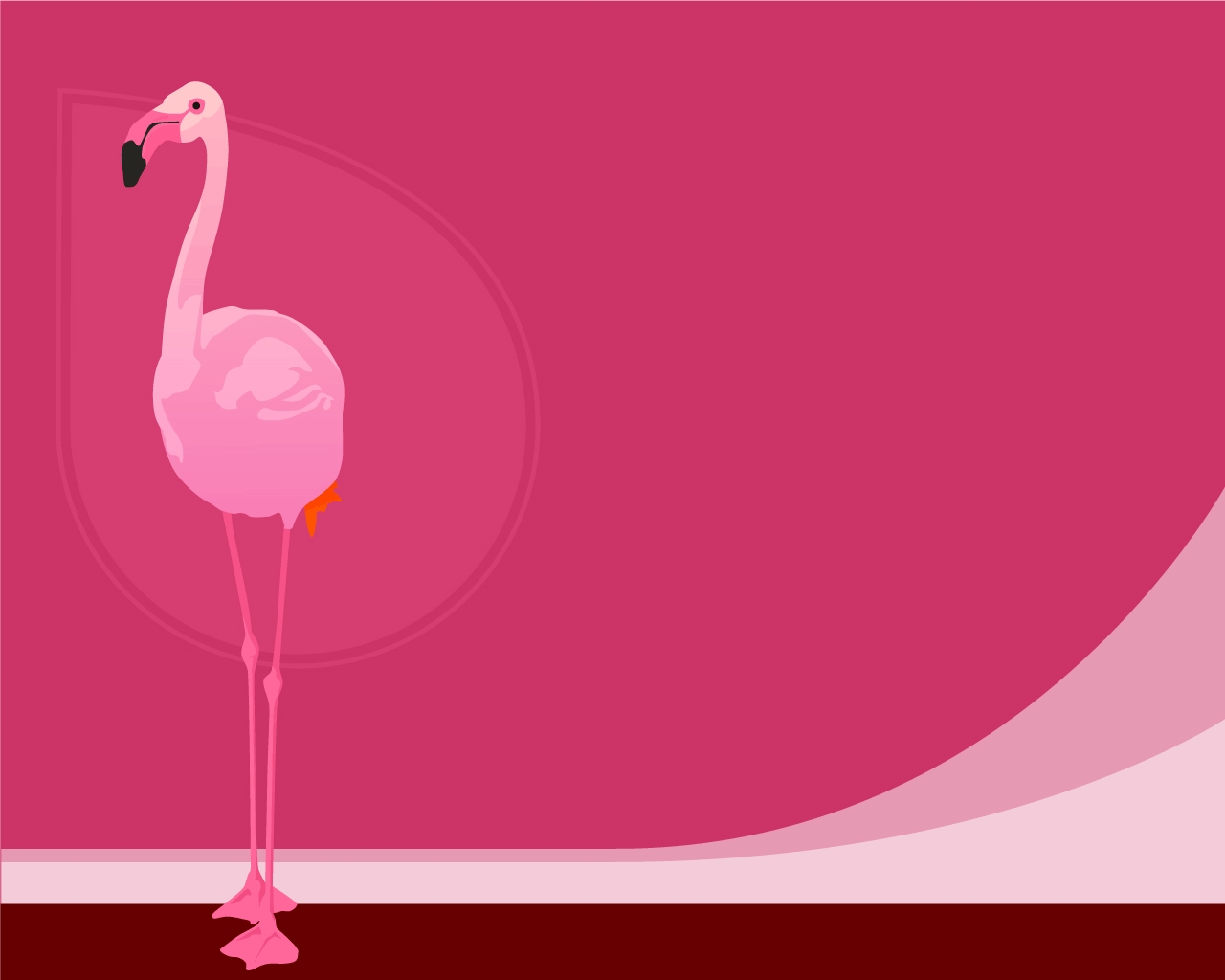 Flamingo Farbe Hintergrundbilder Frei Fotos