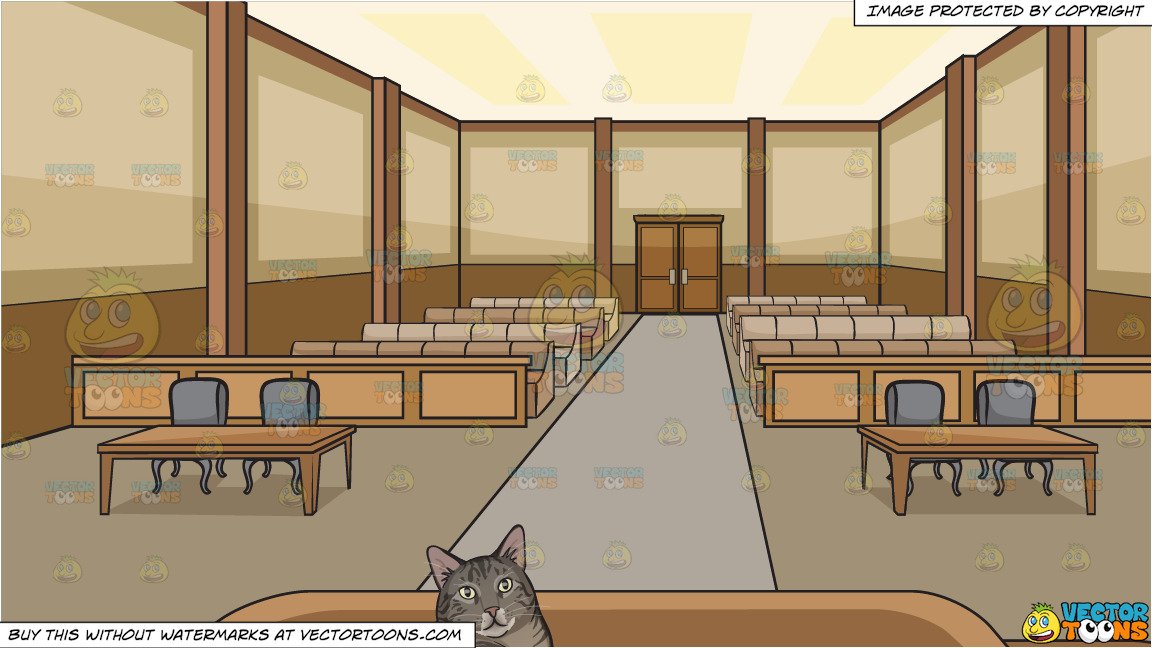 A Chubby Cat Lying Down And Inside Courtroom Background